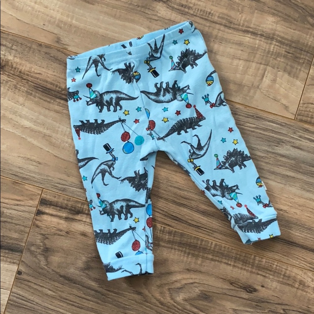 Dinosaur Pants